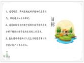 蘇教版生物（2024）七年級上冊 2.3.2 種子植物 課件 (2)