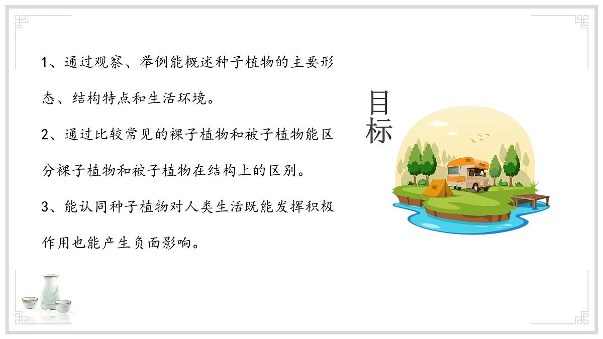 苏教版生物（2024）七年级上册 2.3.2 种子植物 课件 (2)第3页