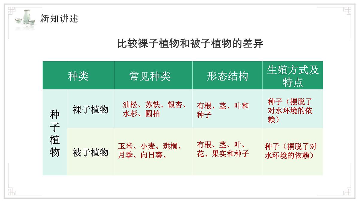 苏教版生物（2024）七年级上册 2.3.2 种子植物 课件 (2)第7页