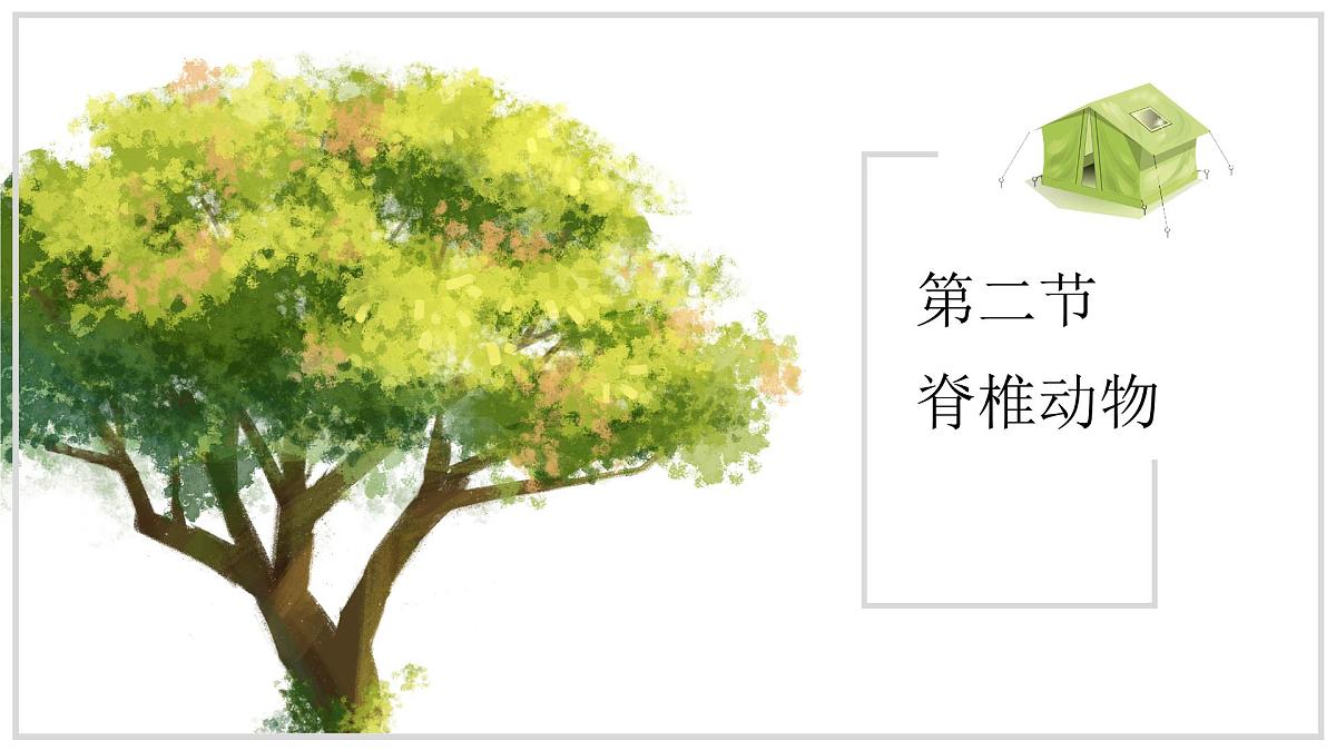 苏教版生物（2024）七年级上册 2.4.2 脊椎动物 课件第1页