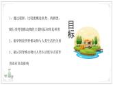 蘇教版生物（2024）七年級上冊 2.4.2 脊椎動物 課件