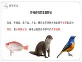 蘇教版生物（2024）七年級上冊 2.4.2 脊椎動物 課件