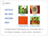 蘇教版生物（2024）七年級(jí)上冊(cè) 2.5.1 真菌、細(xì)菌和病毒 課件