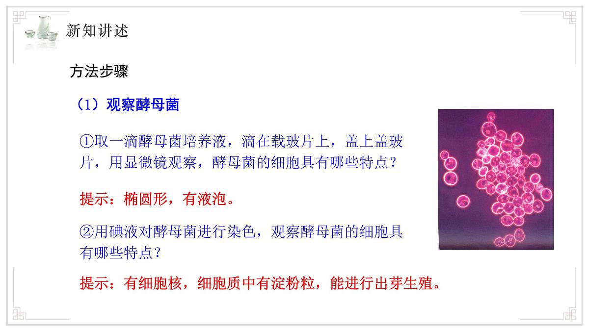 苏教版生物（2024）七年级上册 2.5.1 真菌、细菌和病毒 课件第6页