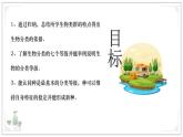 蘇教版生物（2024）七年級(jí)上冊(cè) 2.6.1 生物的分類 課件