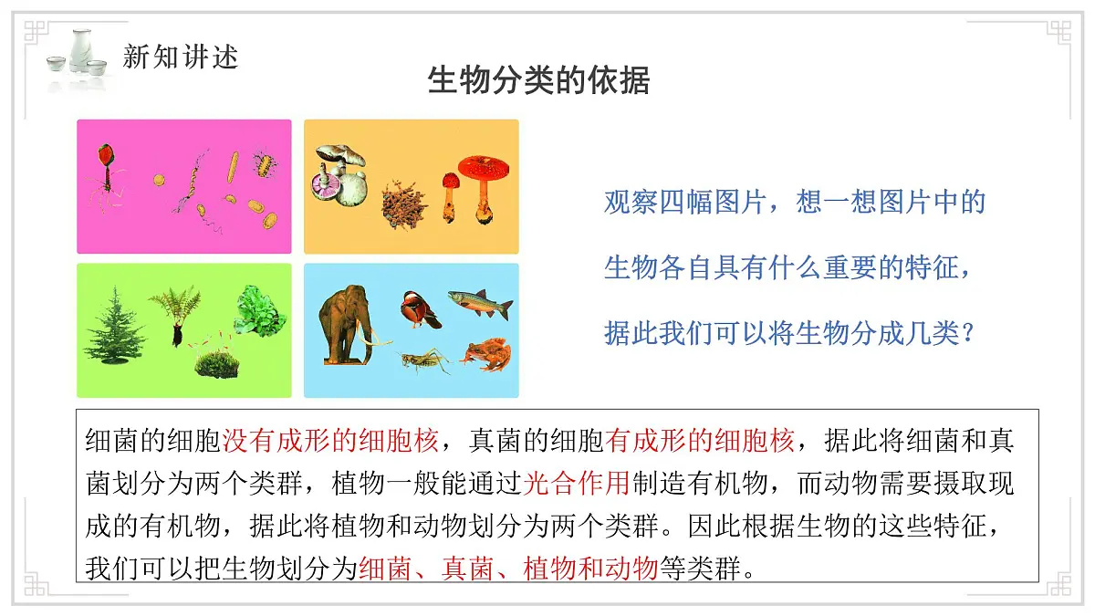 苏教版生物（2024）七年级上册 2.6.1 生物的分类 课件第4页