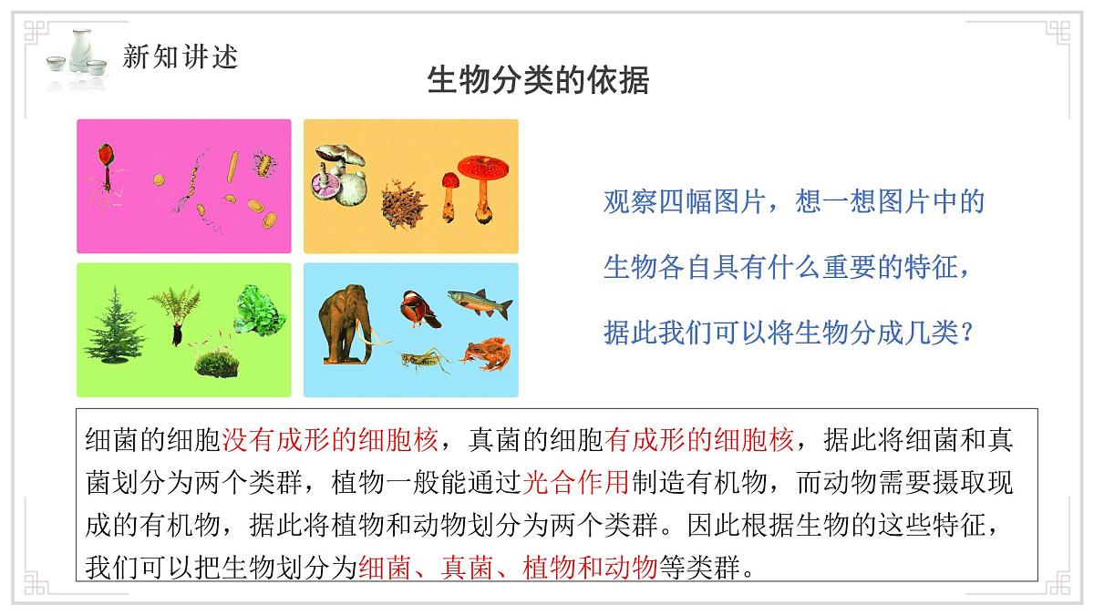 苏教版生物（2024）七年级上册 2.6.1 生物的分类 课件第4页