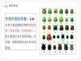 蘇教版生物（2024）七年級(jí)上冊(cè) 2.6.1 生物的分類 課件
