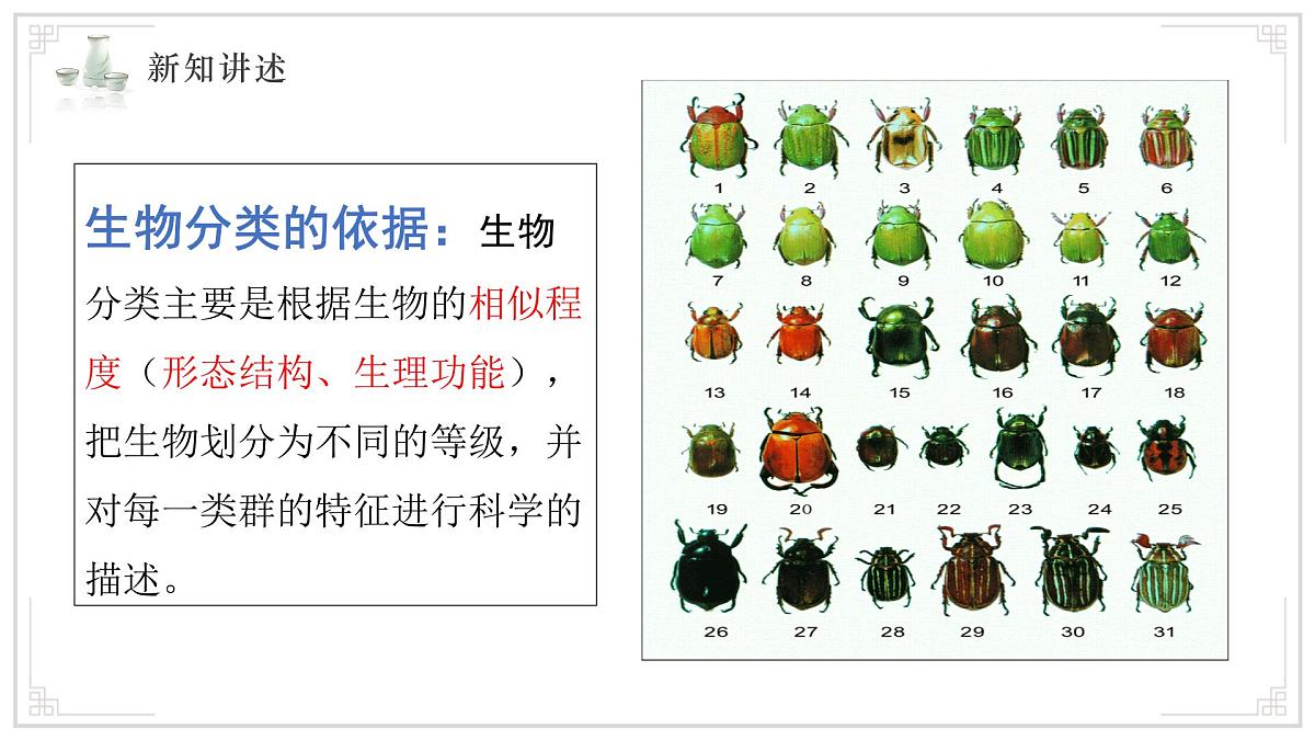 苏教版生物（2024）七年级上册 2.6.1 生物的分类 课件第5页