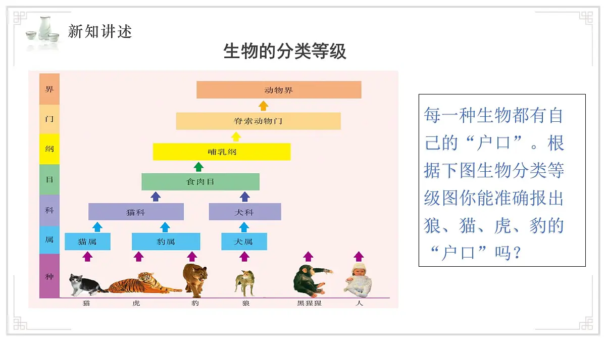 苏教版生物（2024）七年级上册 2.6.1 生物的分类 课件第7页