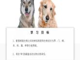 蘇教版生物（2024）七年級(jí)上冊(cè) 2.6.1 生物的分類依據(jù)和分類等級(jí) 課件