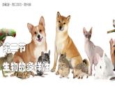 蘇教版生物（2024）七年級(jí)上冊 2.6.2 生物的多樣性 課件
