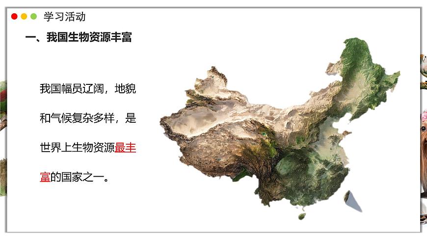 苏教版生物（2024）七年级上册 2.6.2 生物的多样性 课件第4页