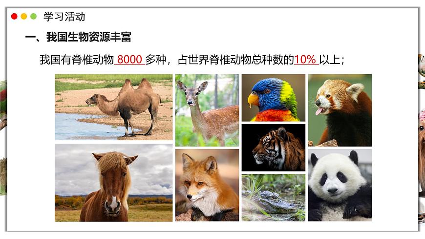 苏教版生物（2024）七年级上册 2.6.2 生物的多样性 课件第5页
