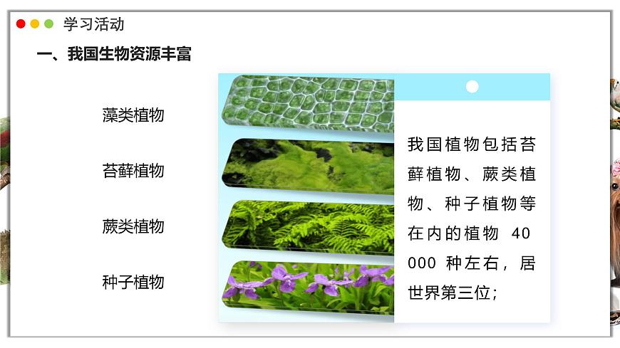苏教版生物（2024）七年级上册 2.6.2 生物的多样性 课件第6页
