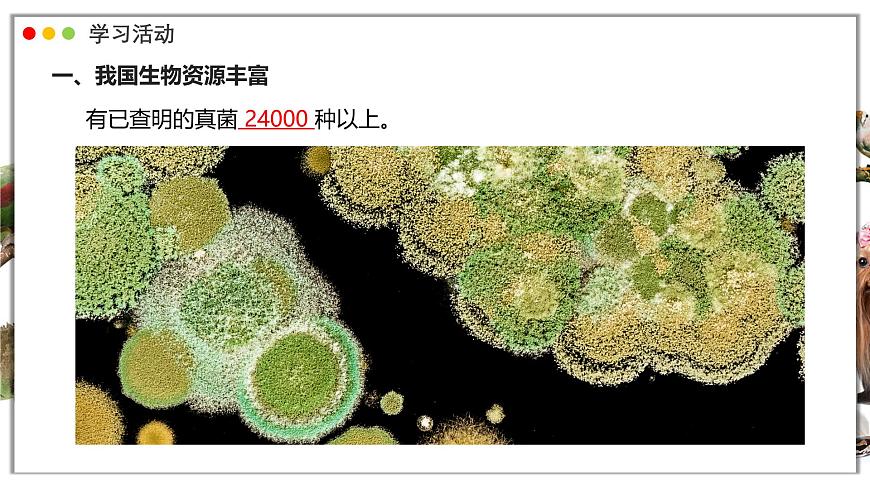 苏教版生物（2024）七年级上册 2.6.2 生物的多样性 课件第7页