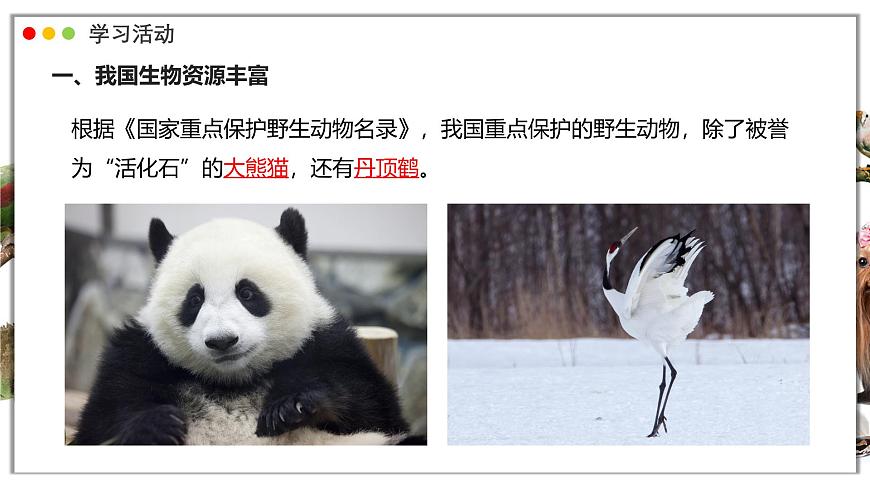 苏教版生物（2024）七年级上册 2.6.2 生物的多样性 课件第8页