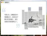 蘇教版生物（2024）七年級上冊 2.6.3 生物資源的保護(hù) 課件