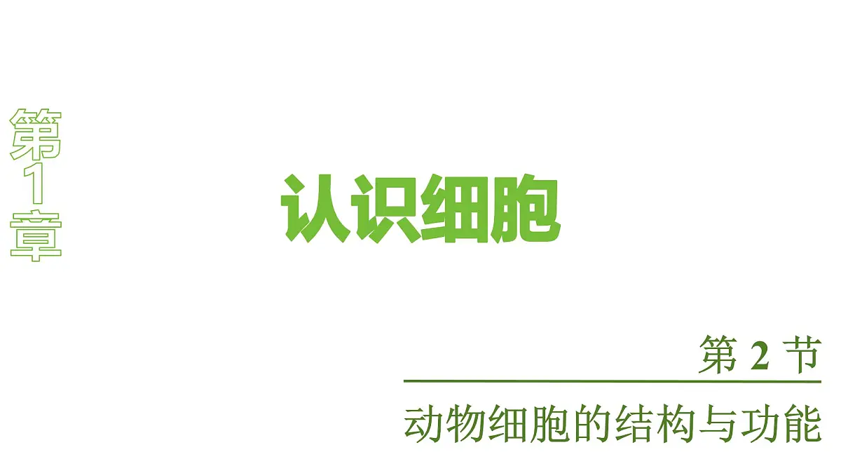 苏教版（2024）生物七年级上册 1.1.2 动物细胞的结构与功能 （课件）第1页