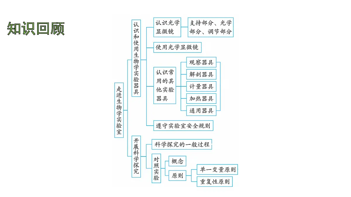 苏教版（2024）生物七年级上册 1.1.2 动物细胞的结构与功能 （课件）第2页