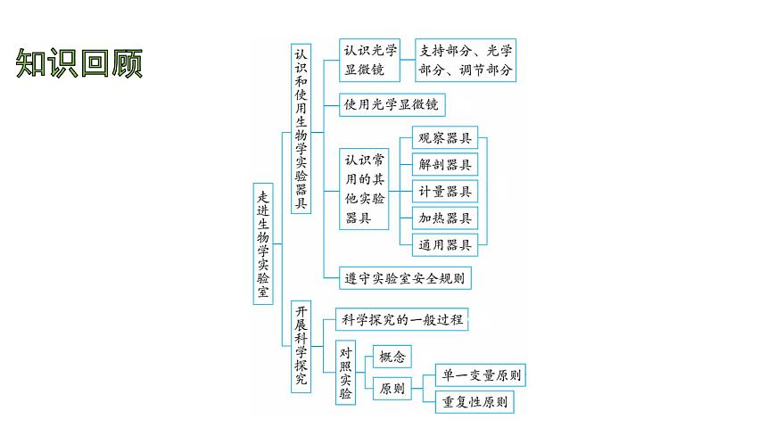 苏教版（2024）生物七年级上册 1.1.2 动物细胞的结构与功能 （课件）第2页