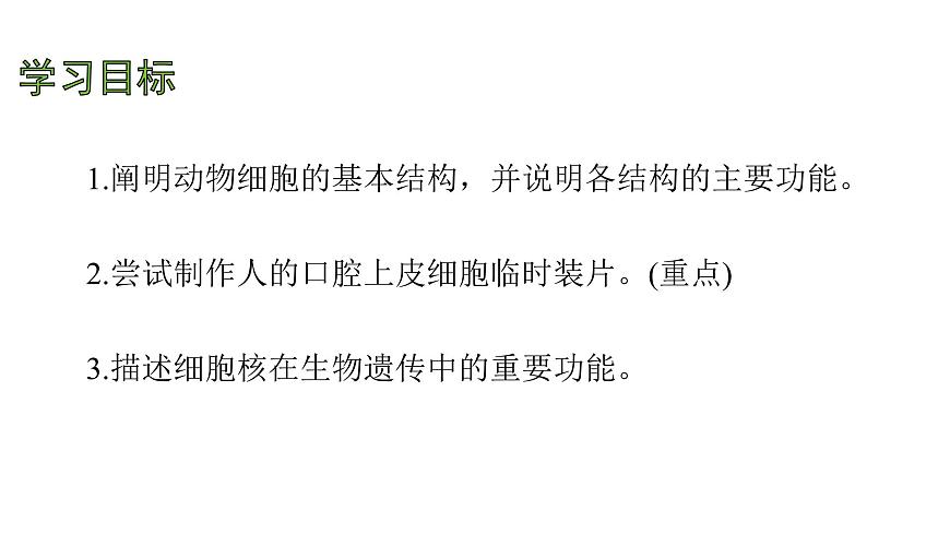 苏教版（2024）生物七年级上册 1.1.2 动物细胞的结构与功能 （课件）第4页