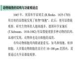 蘇教版（2024）生物七年級上冊 1.1.2 動物細(xì)胞的結(jié)構(gòu)與功能 （課件）