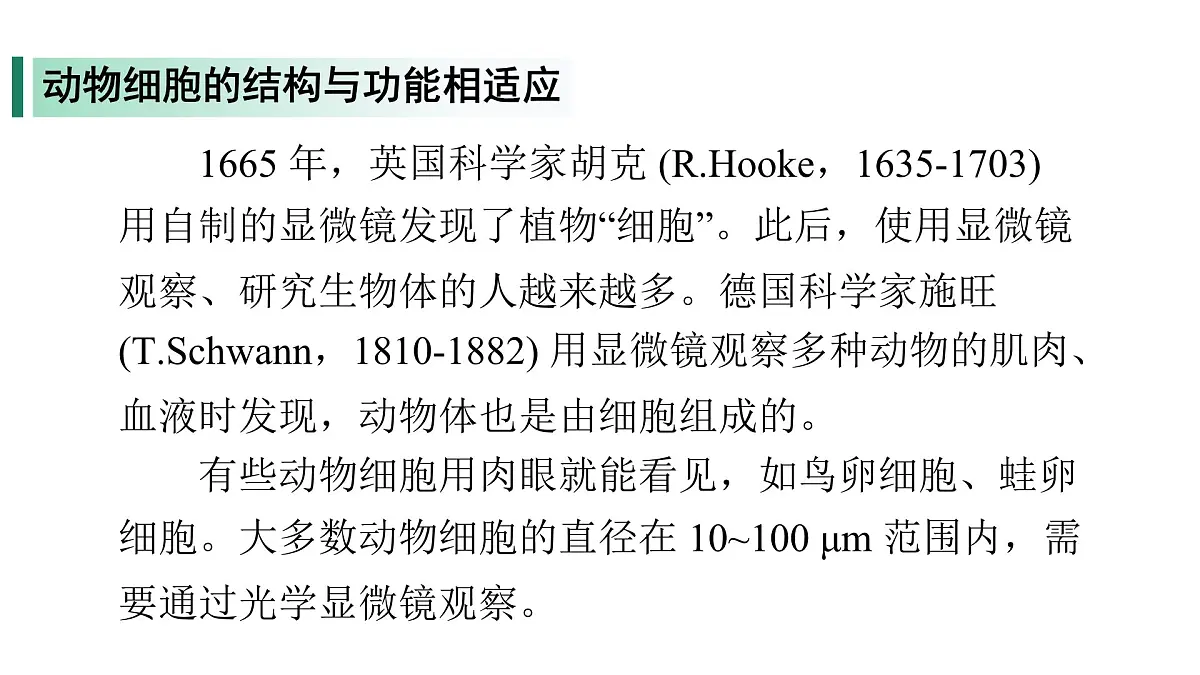 苏教版（2024）生物七年级上册 1.1.2 动物细胞的结构与功能 （课件）第5页