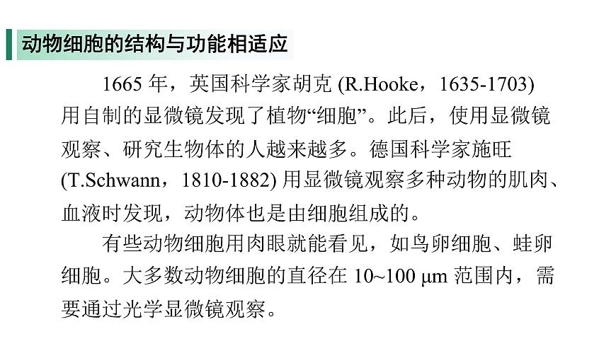 苏教版（2024）生物七年级上册 1.1.2 动物细胞的结构与功能 （课件）第5页