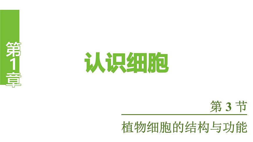 苏教版（2024）生物七年级上册 1.1.3 植物细胞的结构与功能 （课件）第1页