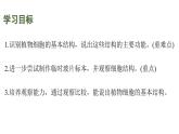 蘇教版（2024）生物七年級上冊 1.1.3 植物細(xì)胞的結(jié)構(gòu)與功能 （課件）
