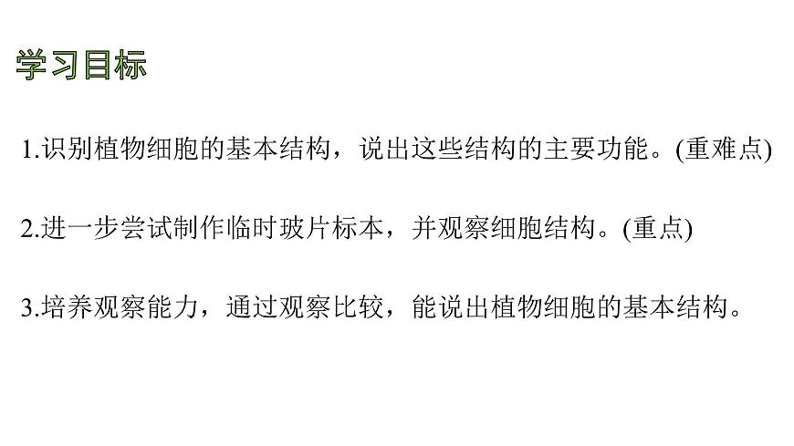苏教版（2024）生物七年级上册 1.1.3 植物细胞的结构与功能 （课件）第4页