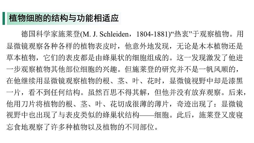 苏教版（2024）生物七年级上册 1.1.3 植物细胞的结构与功能 （课件）第5页