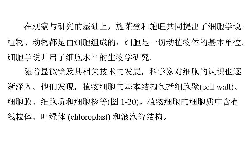 苏教版（2024）生物七年级上册 1.1.3 植物细胞的结构与功能 （课件）第6页