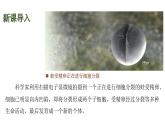蘇教版（2024）生物七年級(jí)上冊(cè) 1.2.1 細(xì)胞的分裂和分化 （課件）