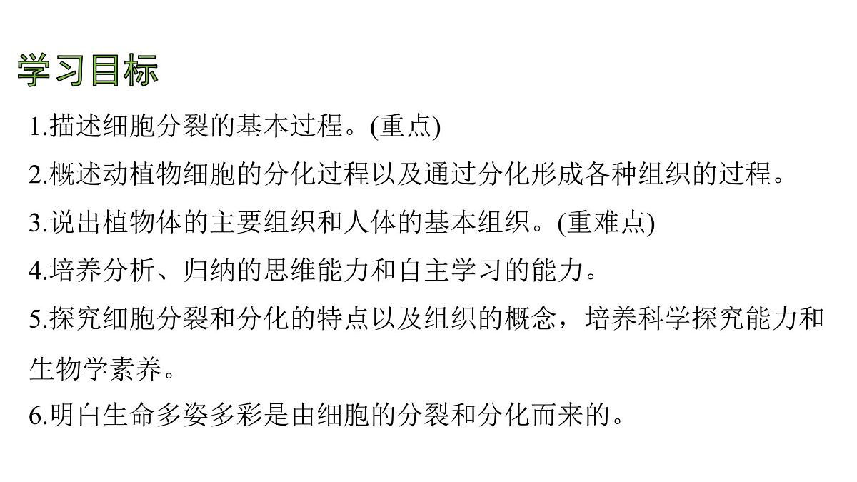 苏教版（2024）生物七年级上册 1.2.1 细胞的分裂和分化 （课件）第4页