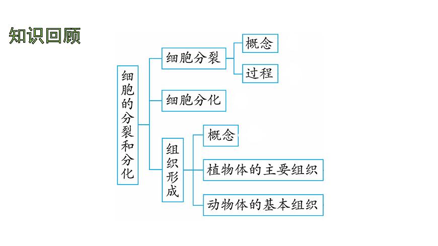 苏教版（2024）生物七年级上册 1.2.2 单细胞生物 （课件）第2页