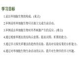 蘇教版（2024）生物七年級(jí)上冊(cè) 1.2.2 單細(xì)胞生物 （課件）