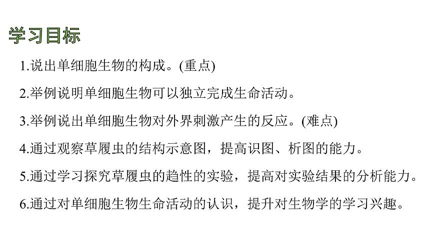 苏教版（2024）生物七年级上册 1.2.2 单细胞生物 （课件）第4页