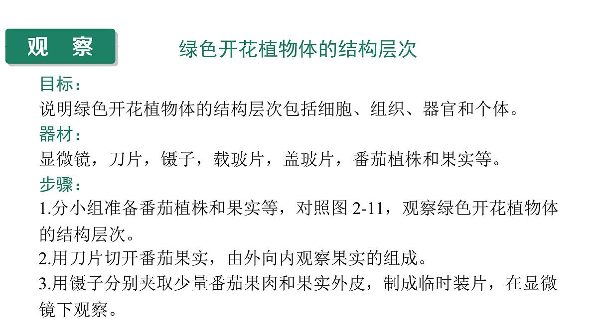 苏教版（2024）生物七年级上册 1.2.3 多细胞生物 （课件）第6页