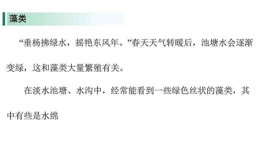 苏教版（2024）生物七年级上册 2.3.1  藻类和苔藓植物、蕨类植物 （课件）第5页