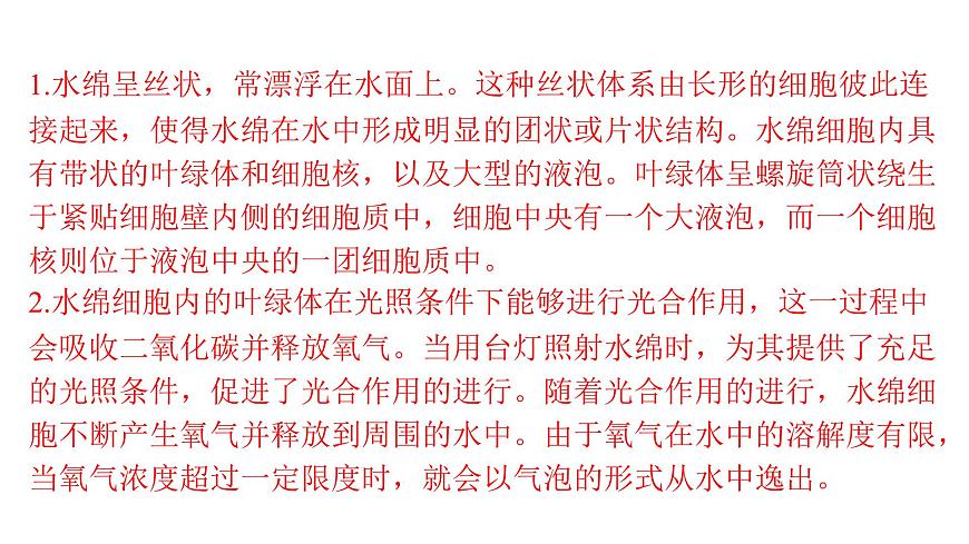 苏教版（2024）生物七年级上册 2.3.1  藻类和苔藓植物、蕨类植物 （课件）第8页