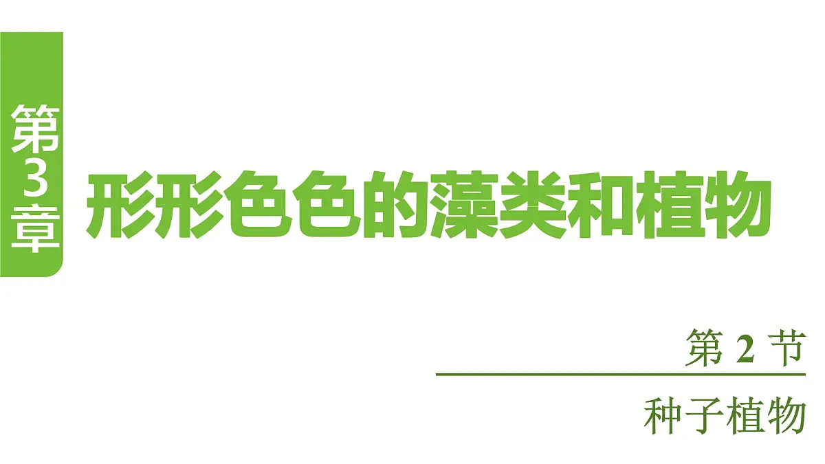 苏教版（2024）生物七年级上册 2.3.2 种子植物 （课件）第1页
