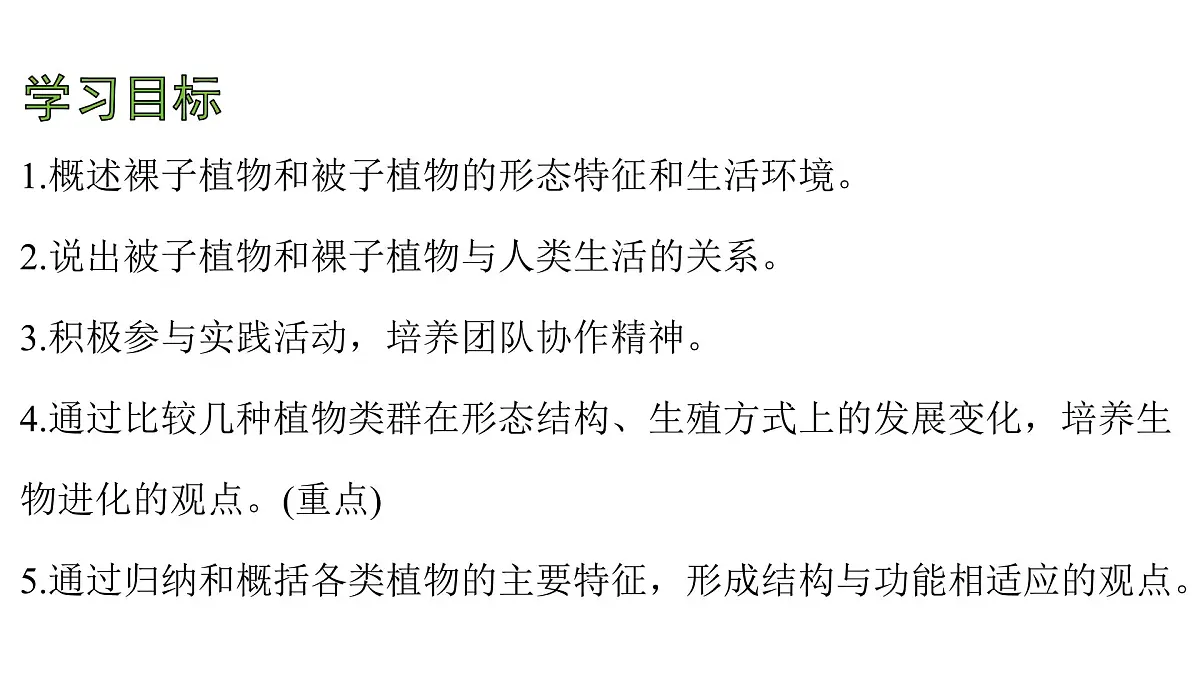 苏教版（2024）生物七年级上册 2.3.2 种子植物 （课件）第4页