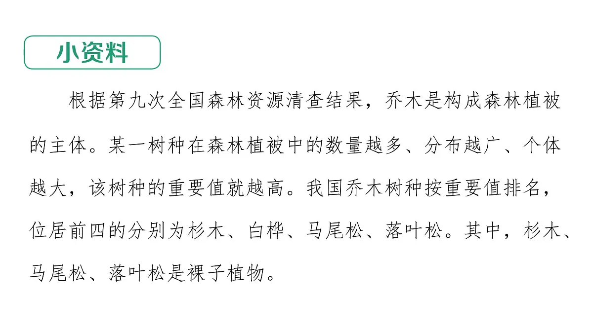 苏教版（2024）生物七年级上册 2.3.2 种子植物 （课件）第8页