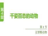 蘇教版（2024）生物七年級上冊 2.4.1 無脊椎動(dòng)物 （課件）