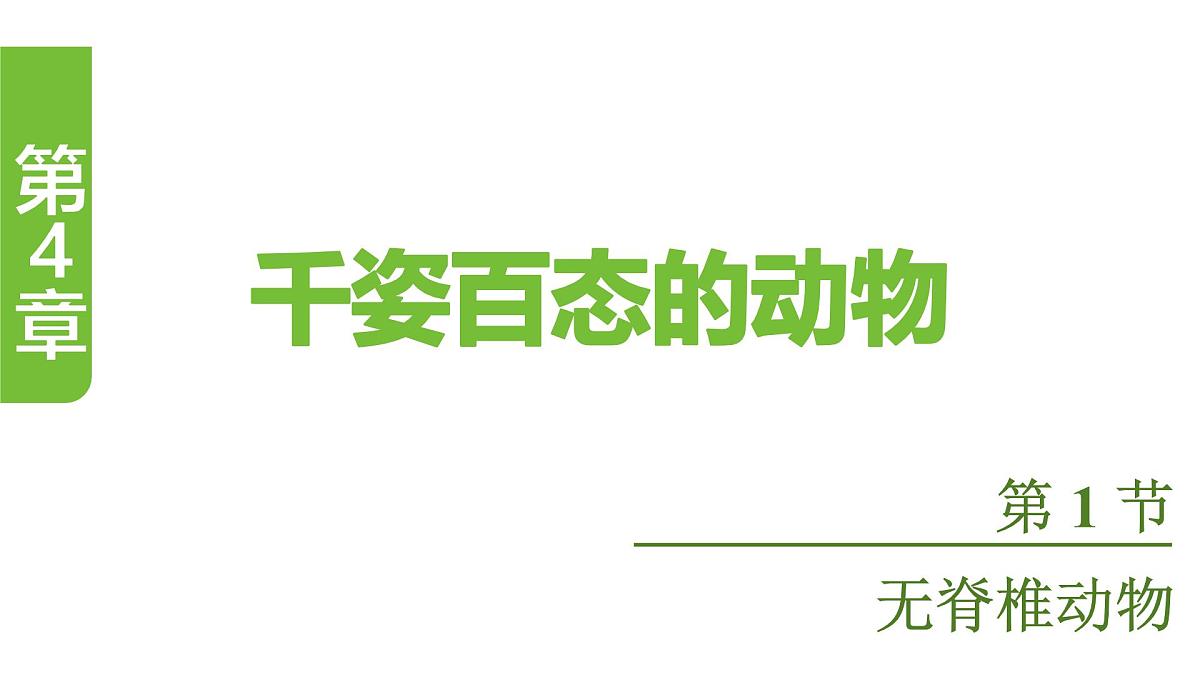 苏教版（2024）生物七年级上册 2.4.1 无脊椎动物 （课件）第1页