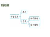 蘇教版（2024）生物七年級上冊 2.4.1 無脊椎動(dòng)物 （課件）