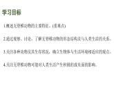 蘇教版（2024）生物七年級上冊 2.4.1 無脊椎動(dòng)物 （課件）