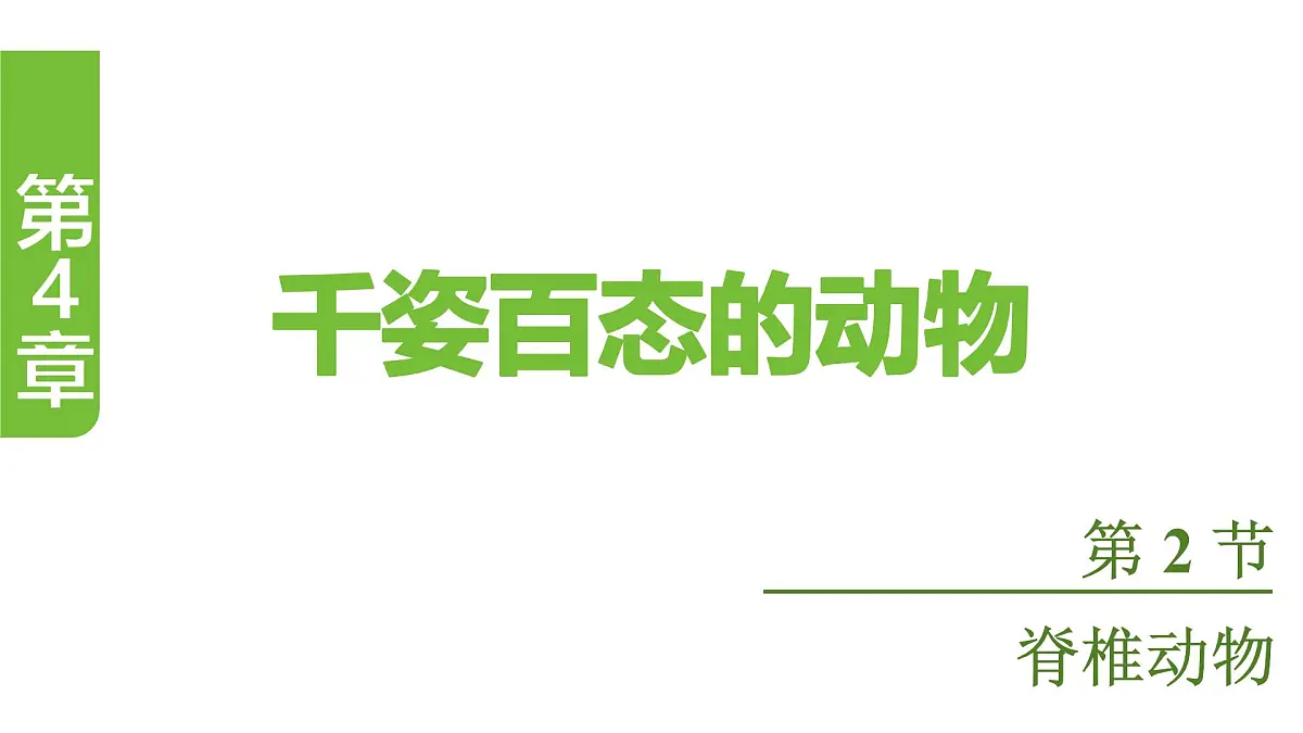 苏教版（2024）生物七年级上册 2.4.2 脊椎动物 （课件）第1页